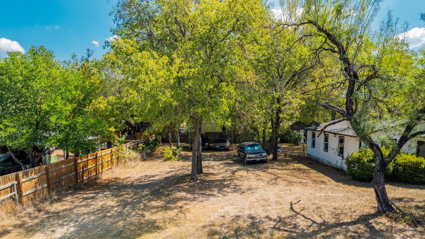 a view of a yard with plants and trees