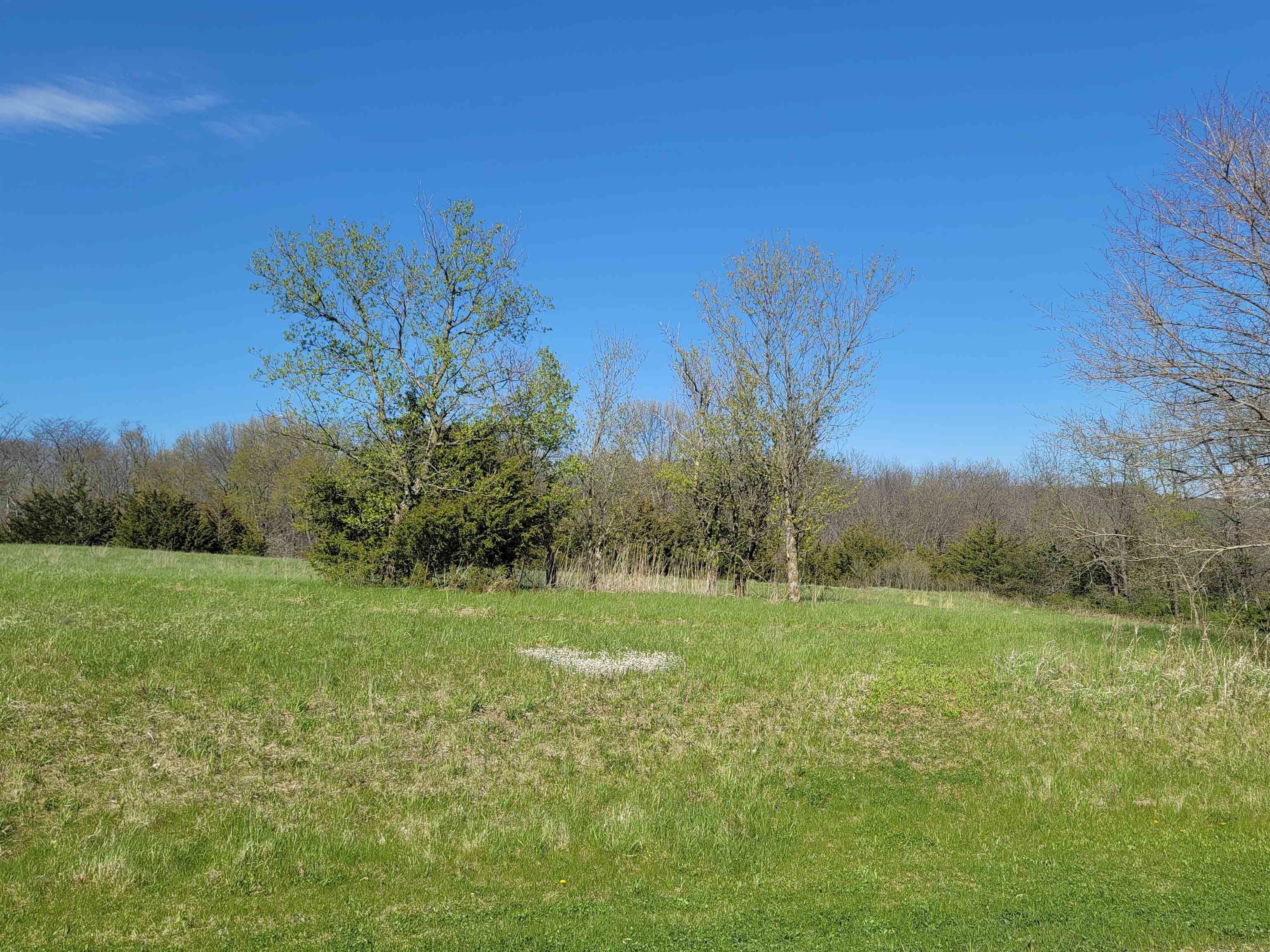 a view of outdoor space and yard