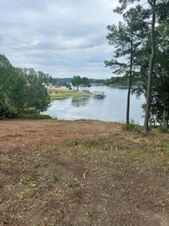 a view of lake with green space