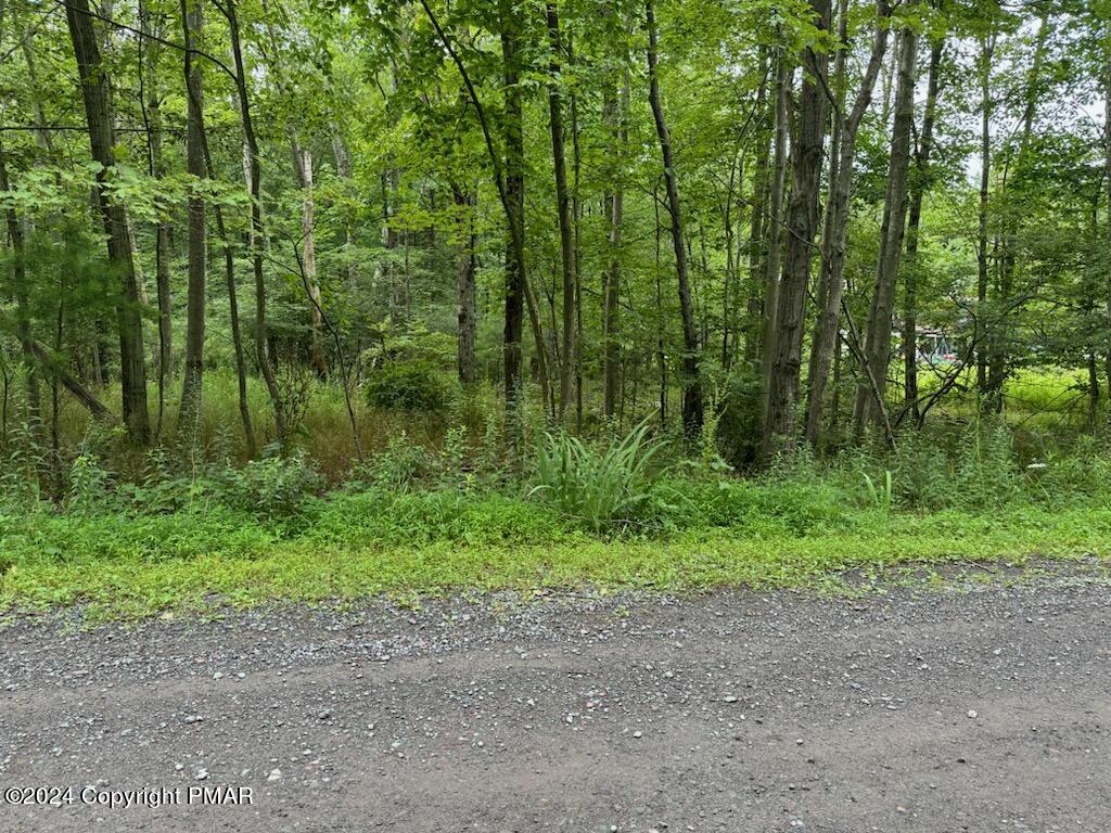 a view of outdoor space and trees