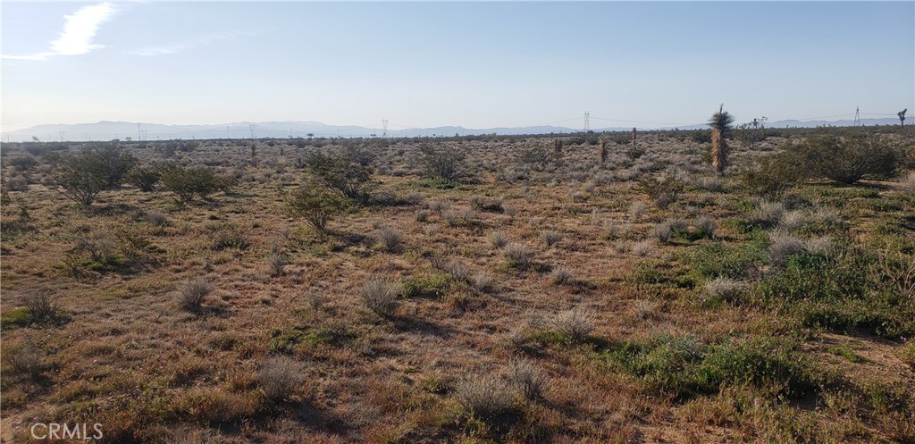 a view of a dry yard