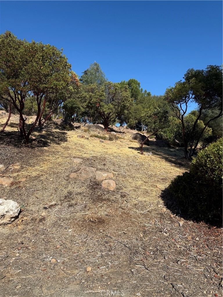 a view of a backyard of a house