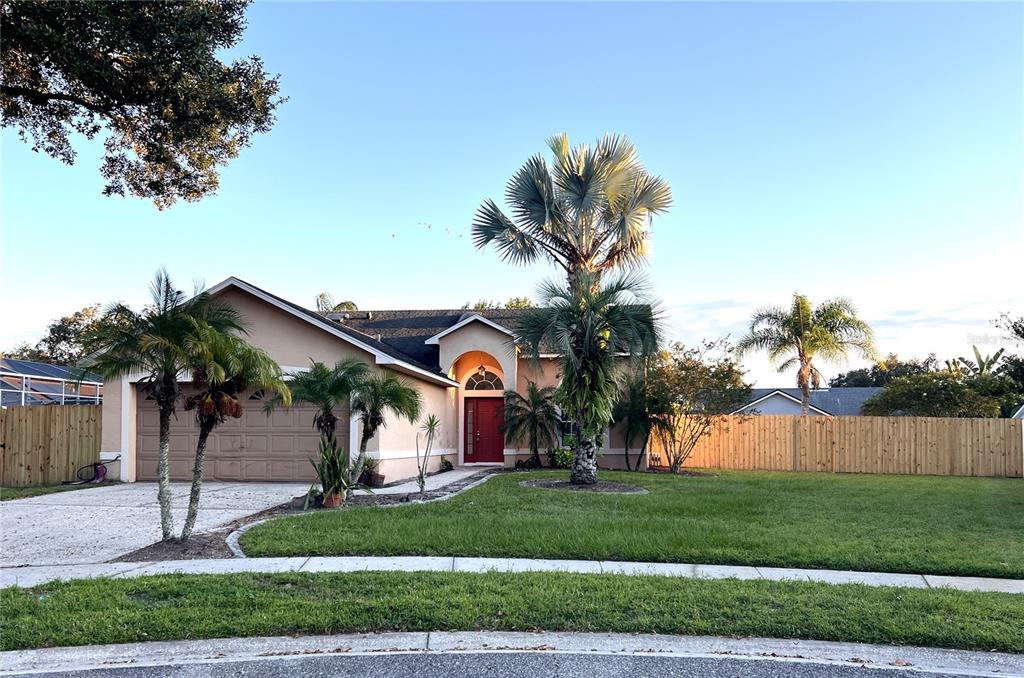 a front view of a house with a yard and a tree