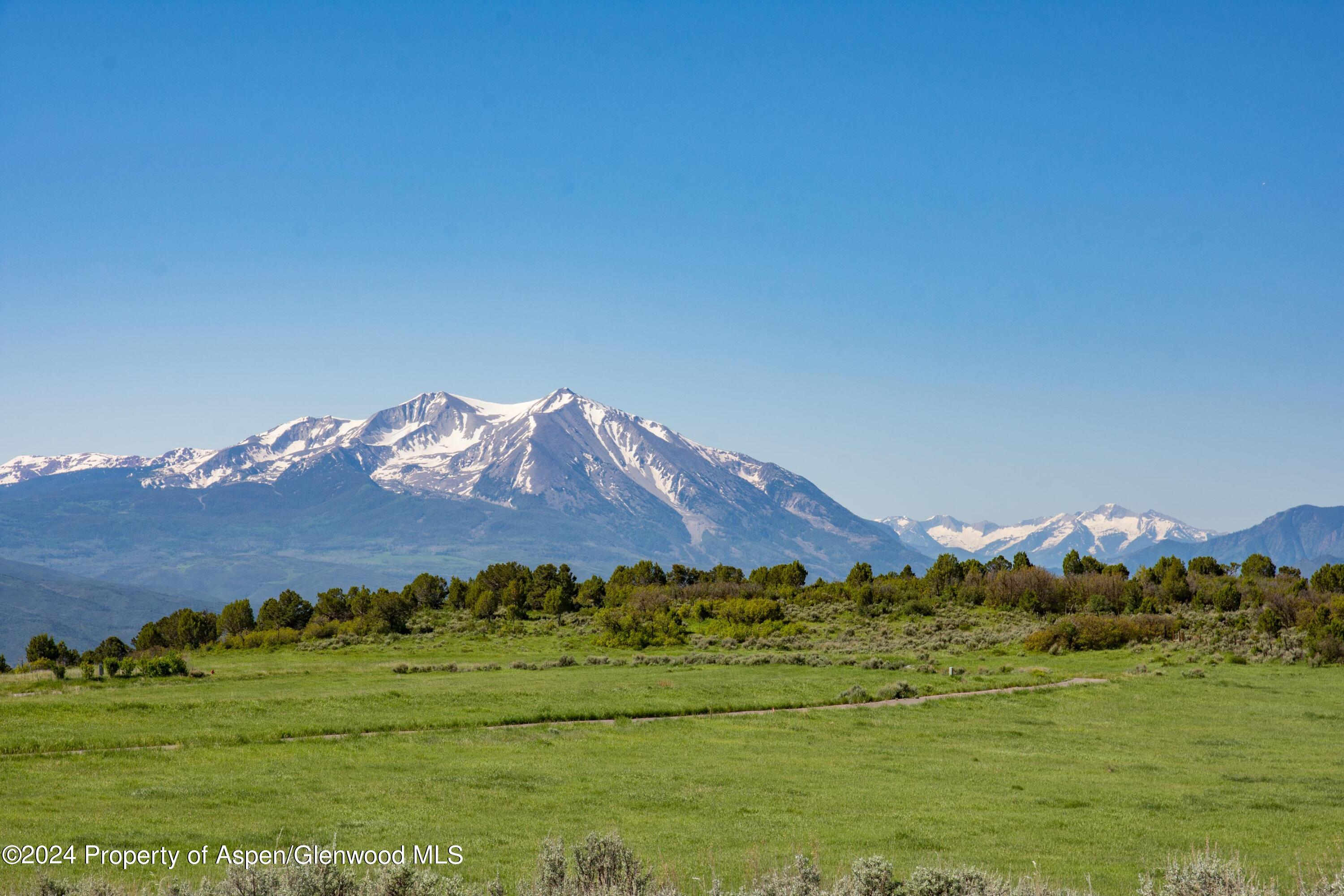 a view of a grassy field with mountains in the background