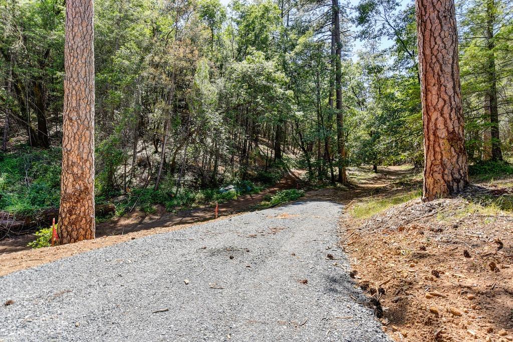 Road through BLM to the gate to the property.