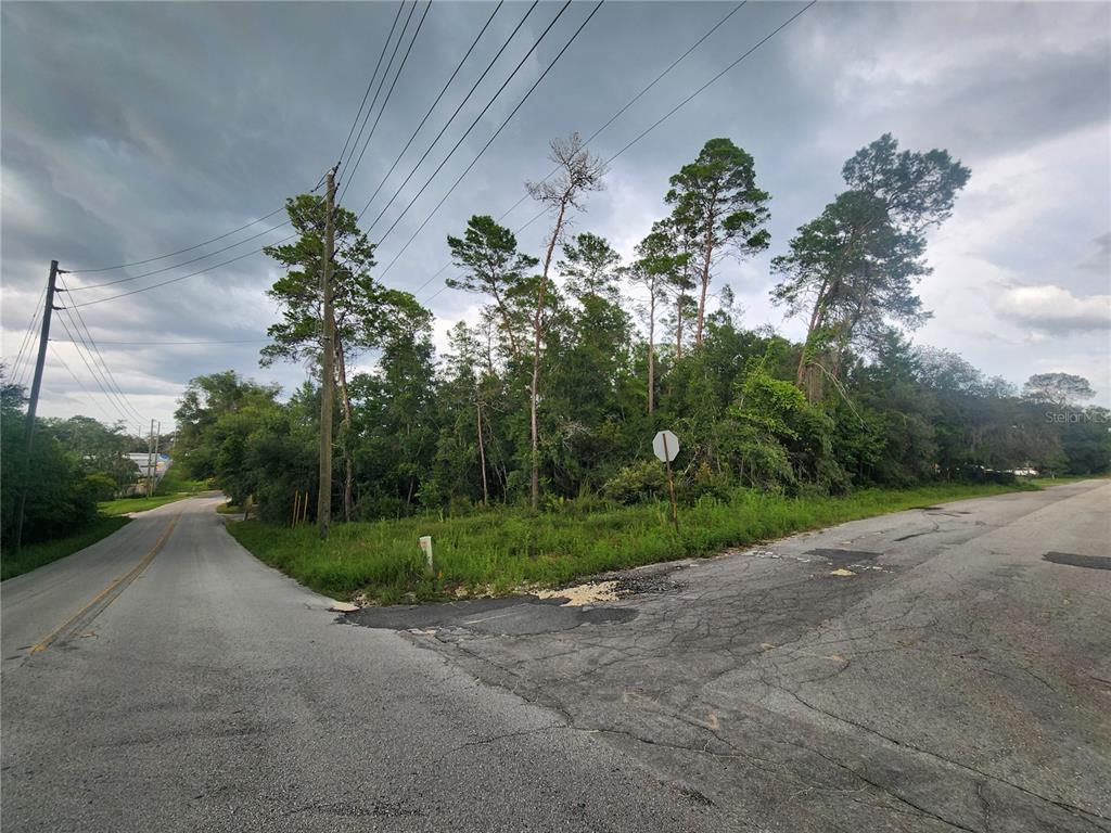 a view of a road with a yard