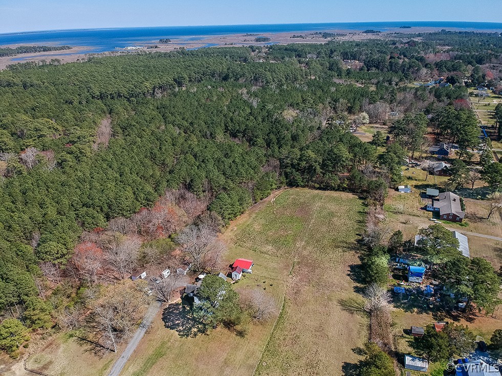 a view of a field with a forest