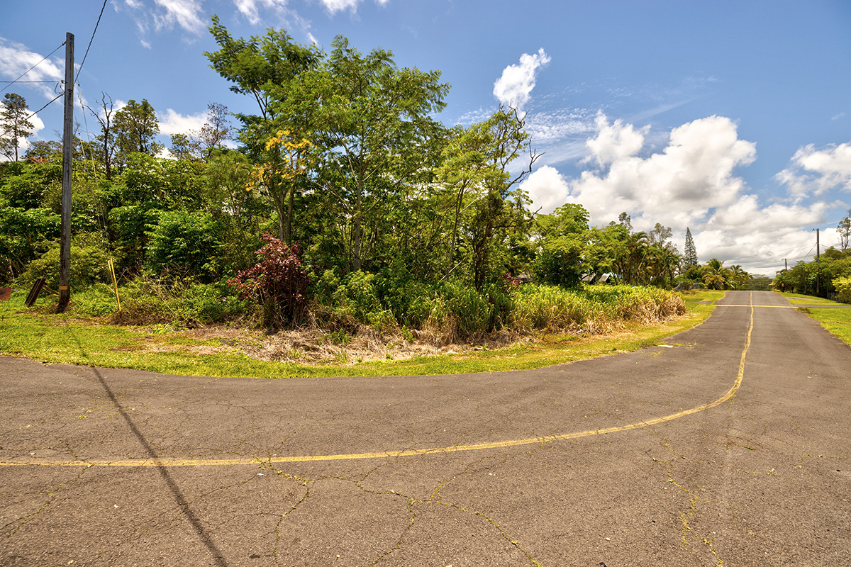 a view of a yard