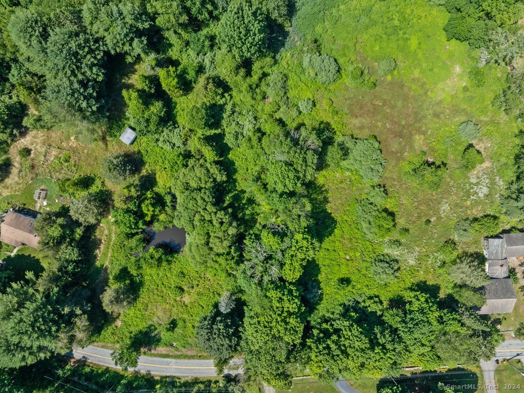 a view of a lush green forest with lots of bushes