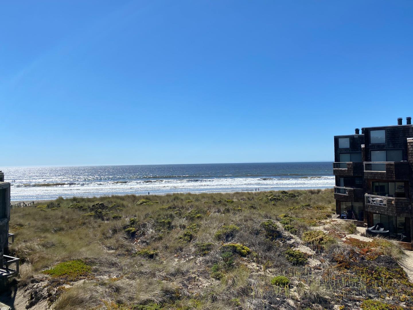 are dogs allowed at pajaro dunes