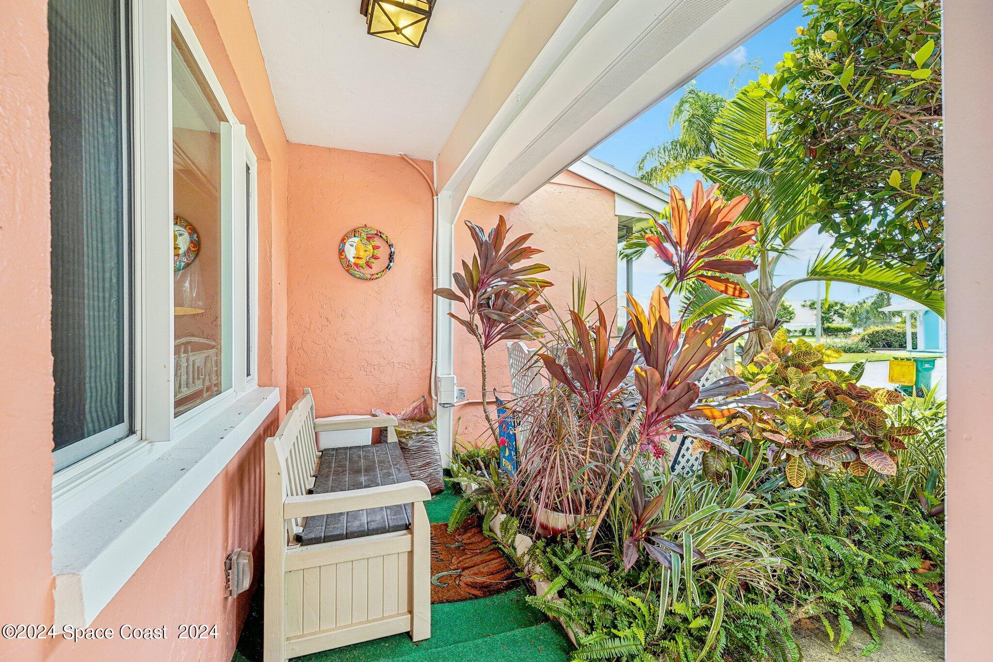 a kitchen with a stove and a potted plant