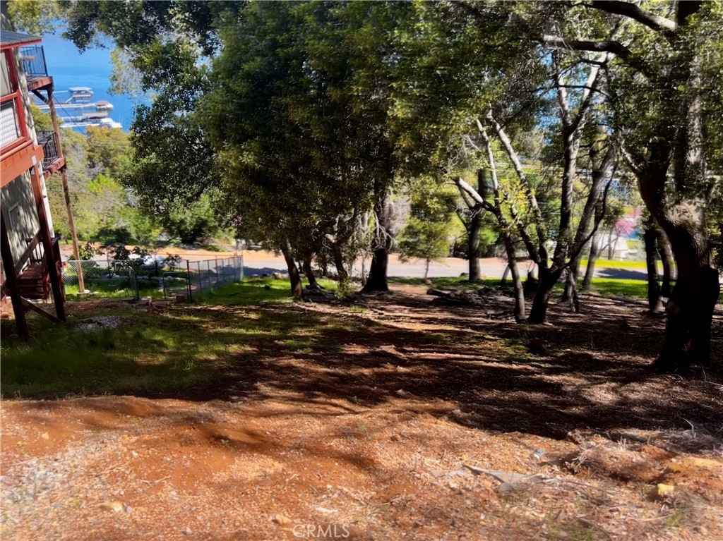 a view of backyard with green space