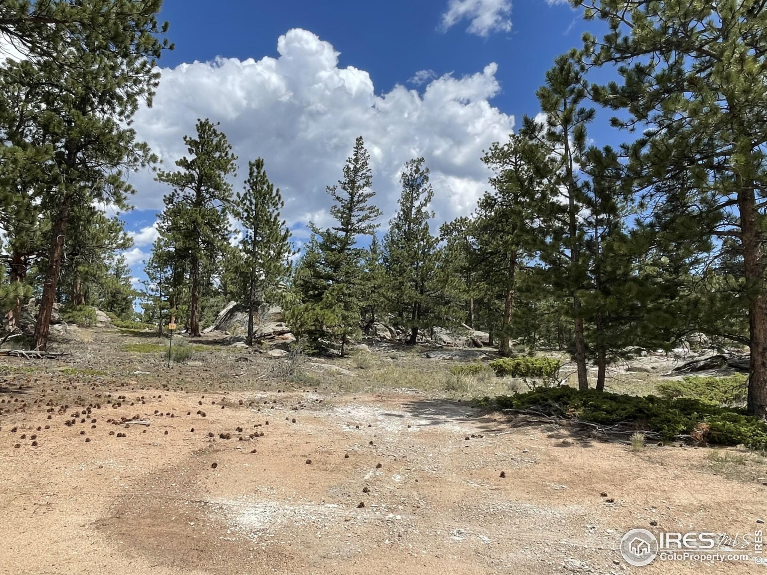 a view of a dirt road with trees in the background