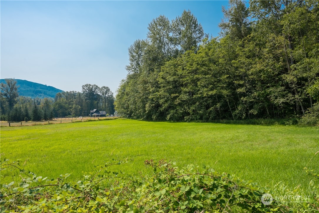 a view of a big yard with large trees