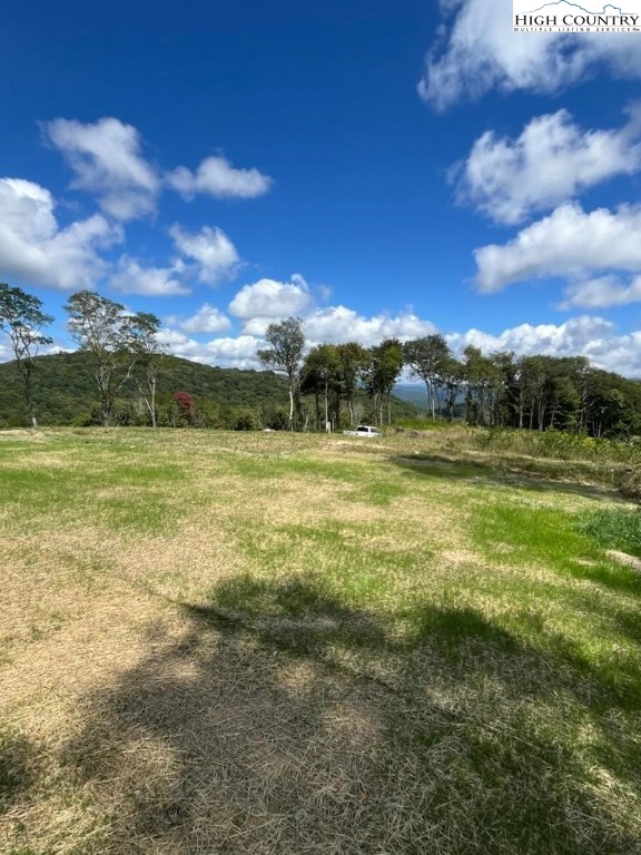 a view of a field with an ocean