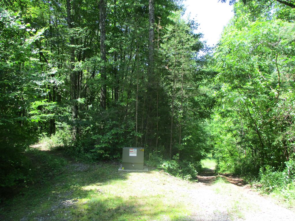 a view of backyard with green space