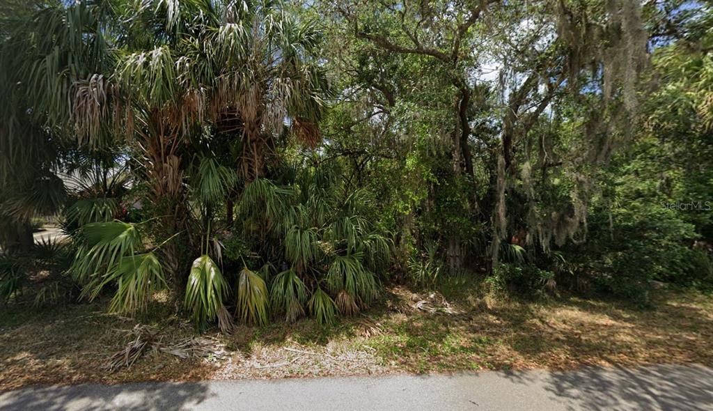 a view of a yard with plants and trees