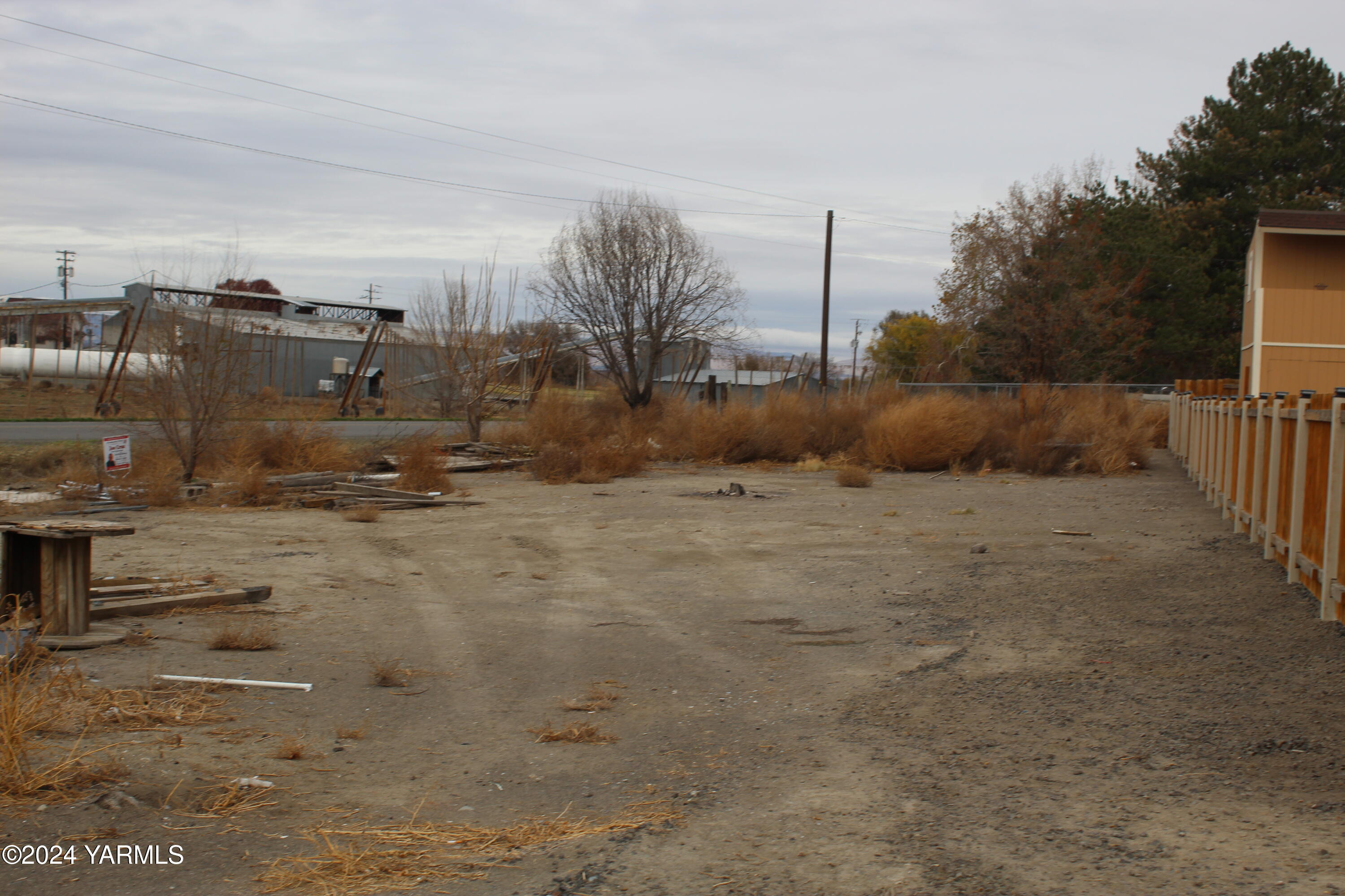 a view of a dry yard