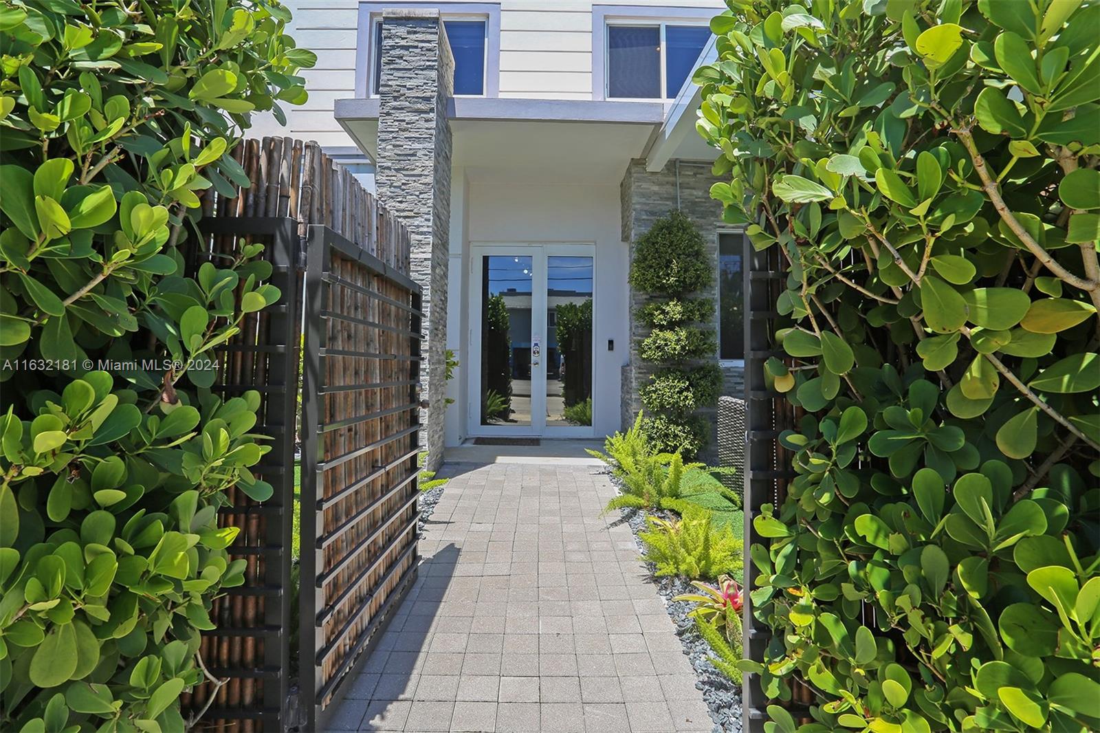 a view of a pathway with plants