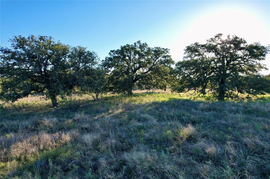 a view of outdoor space and trees