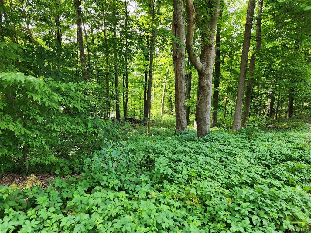 a view of outdoor space and trees