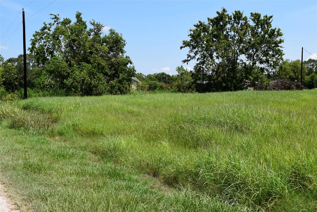 a view of a lush green space