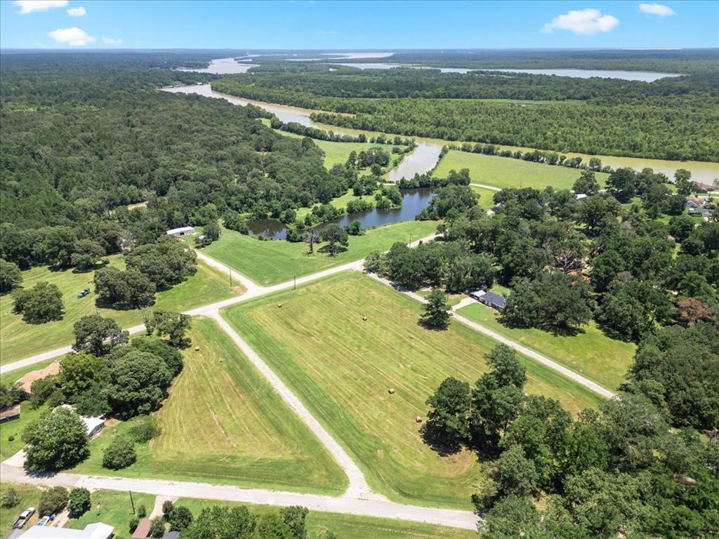 an aerial view of residential houses with outdoor space and trees