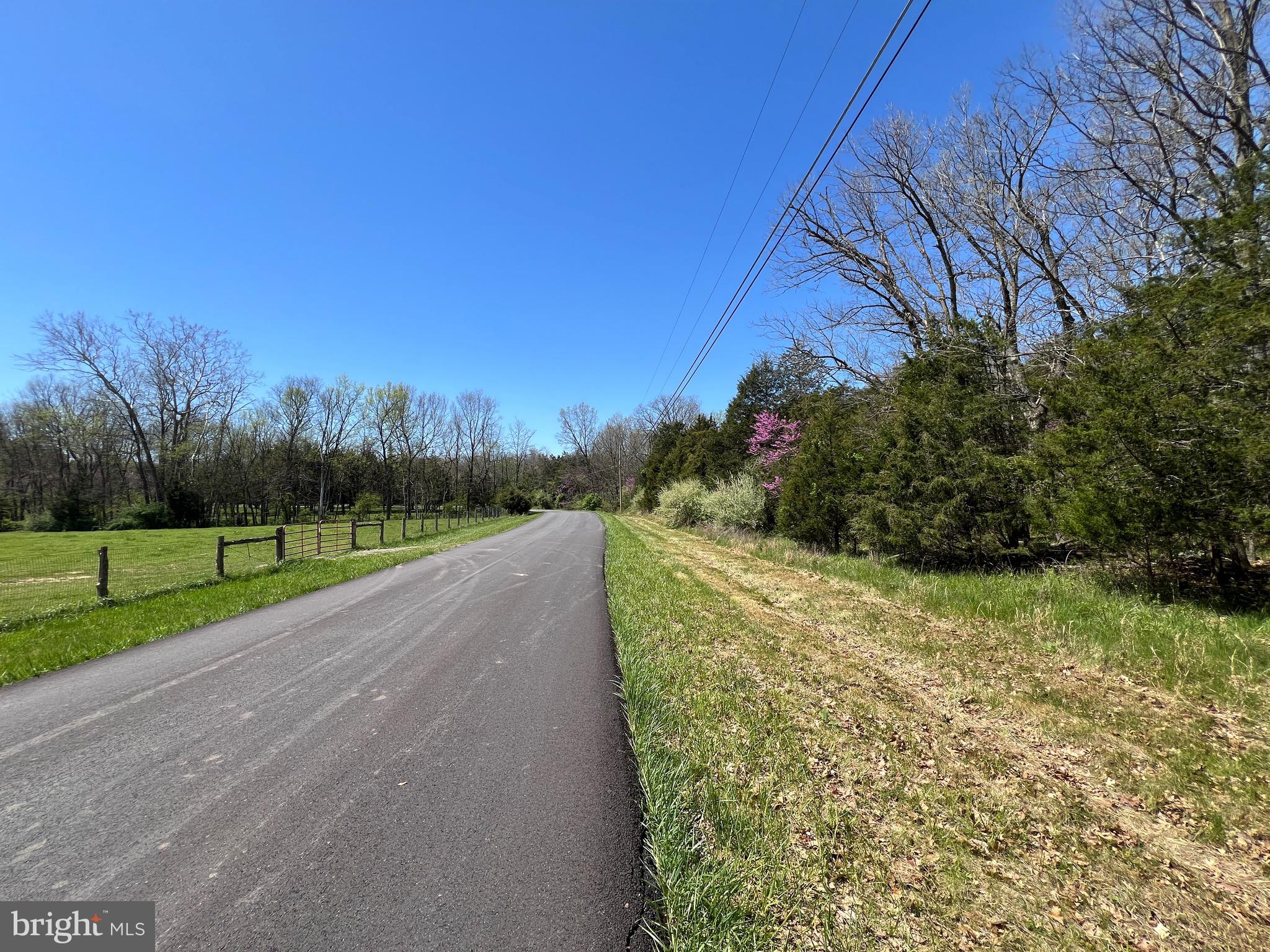 a view of a road with a yard