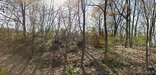 a view of a forest with trees in front of it