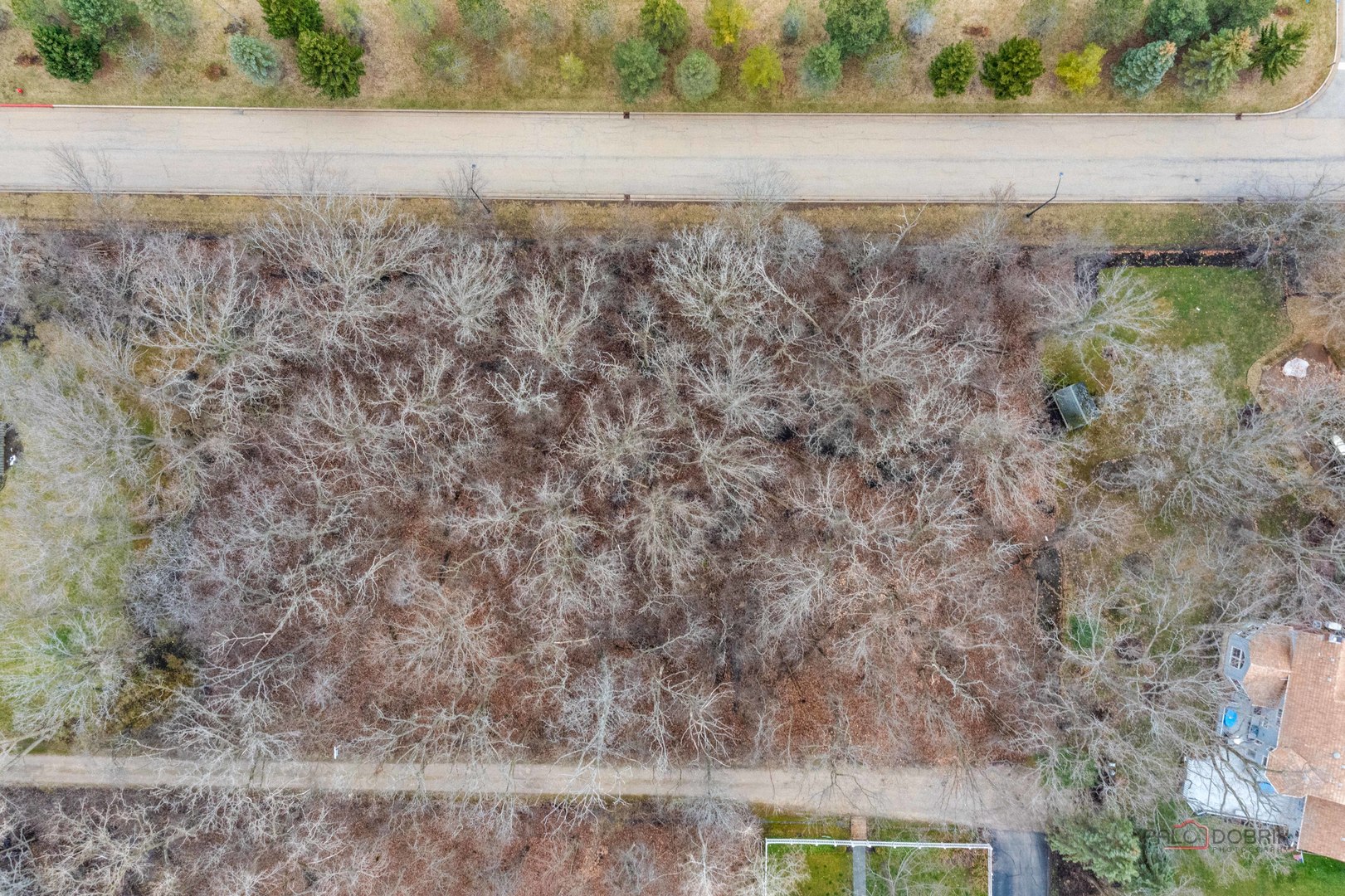 a view of a dry yard with green space