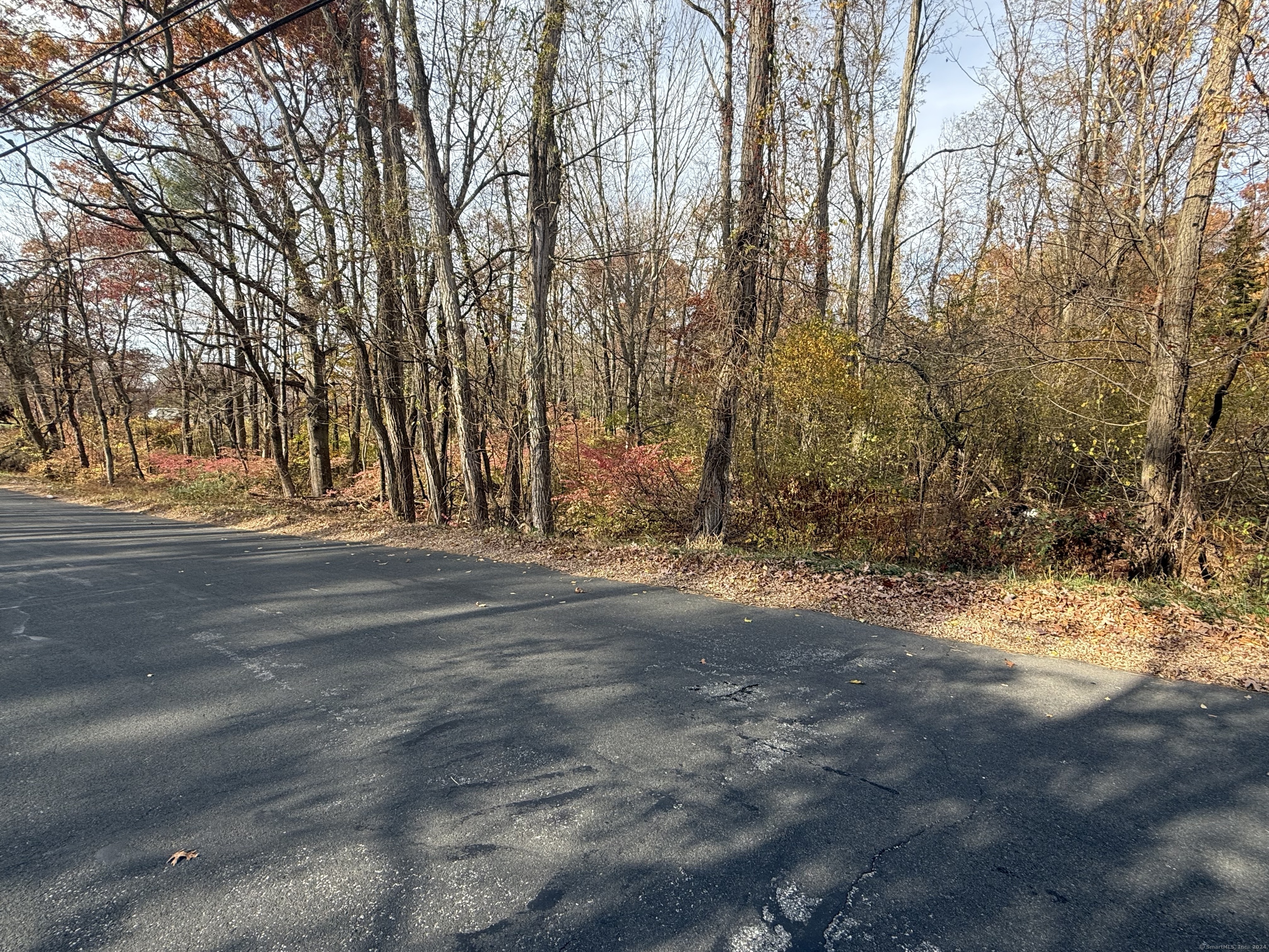 a view of road space with large trees