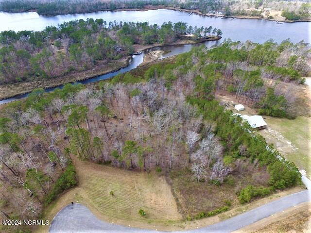 3.3 acre Waterfront Lot on Caraway Creek