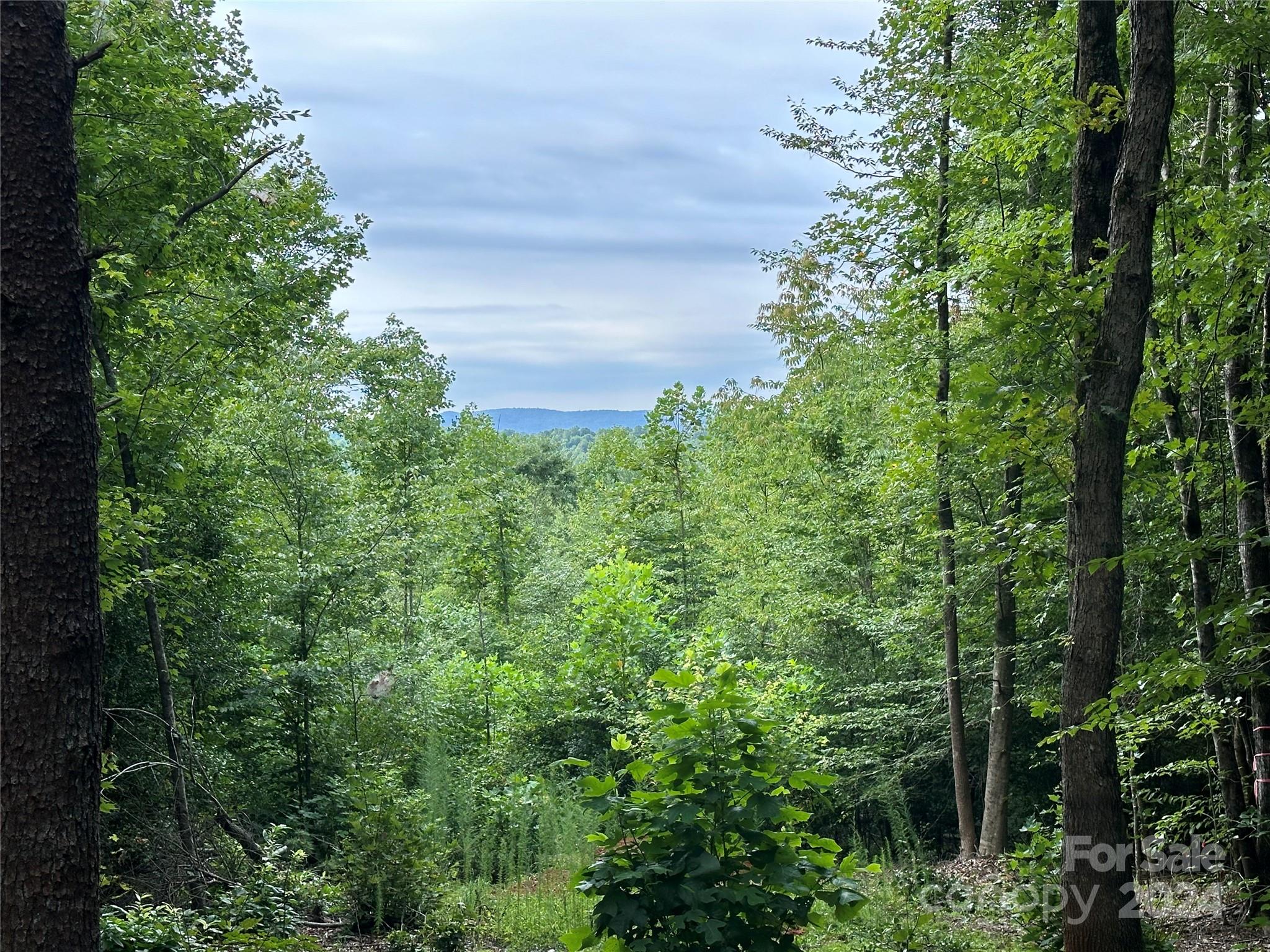 a view of a garden