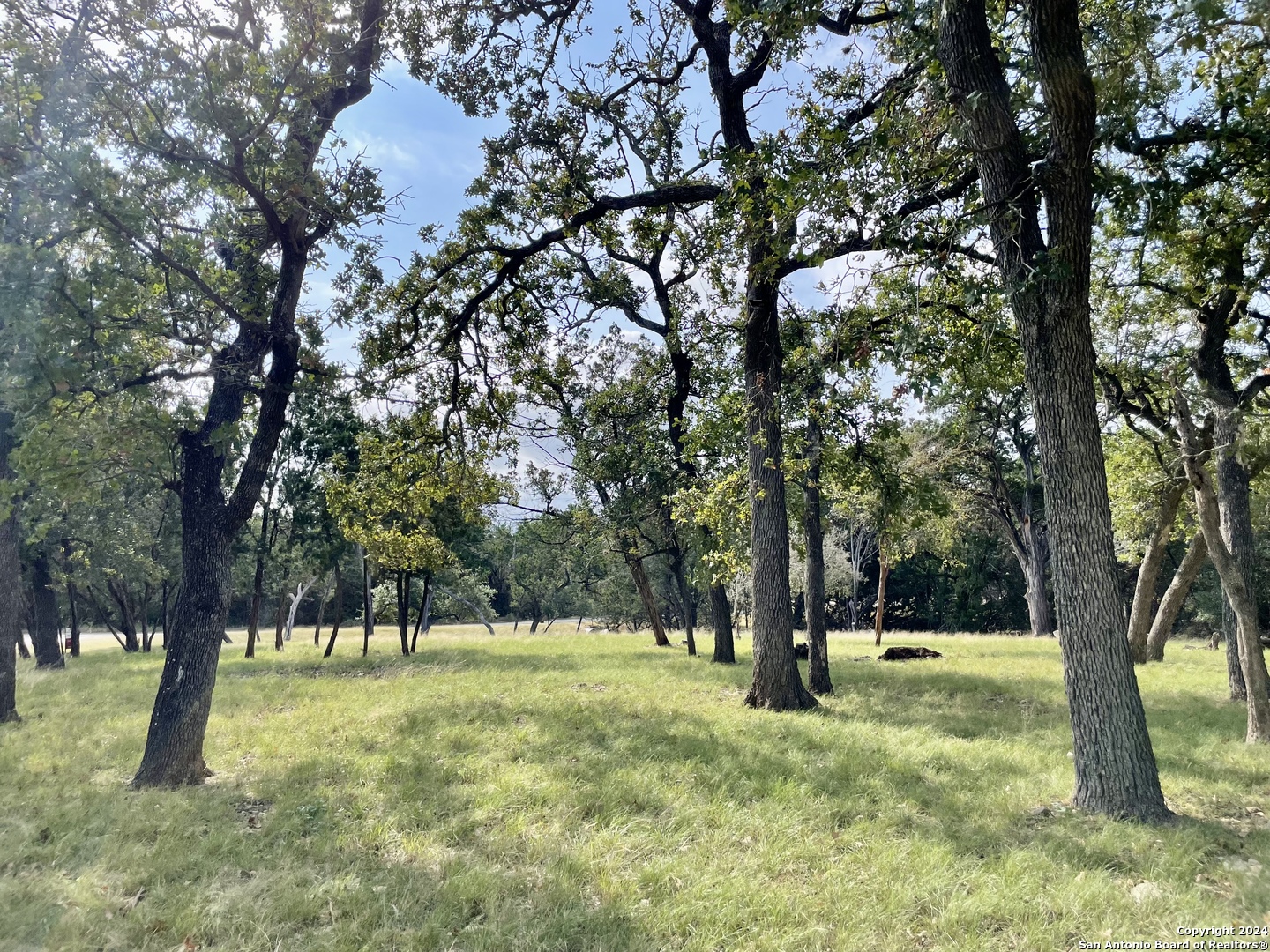 a view of outdoor space with trees