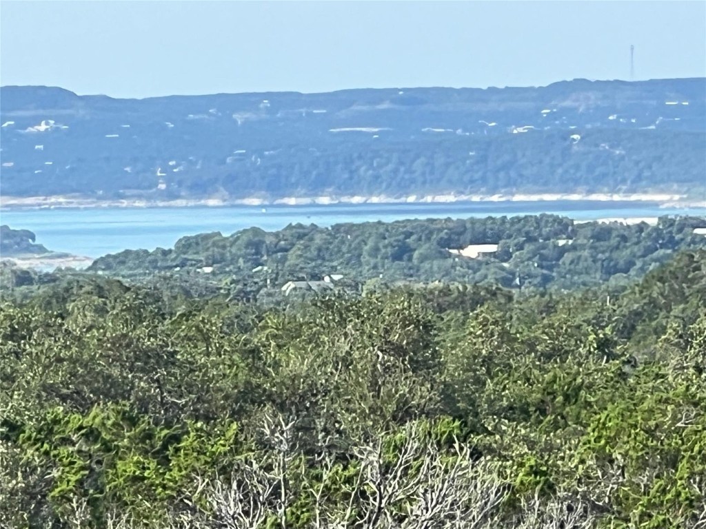 a view of city and green space