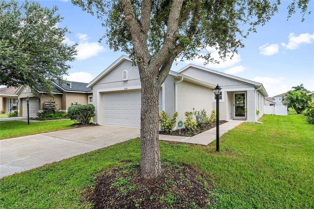 a view of a yard in front of a house with plants and large tree