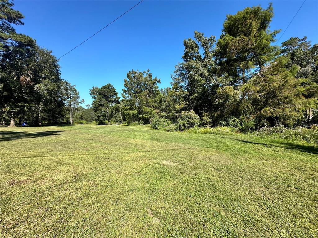 a view of a green field with trees in the background