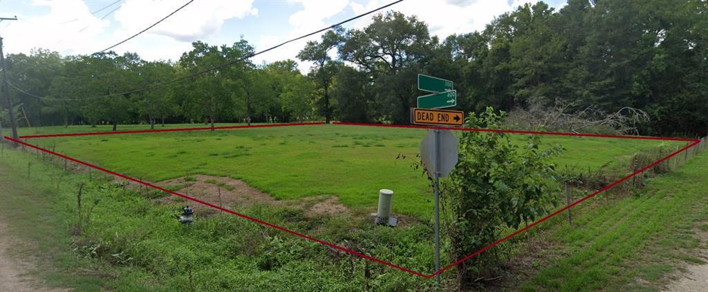 a view of a park with large trees