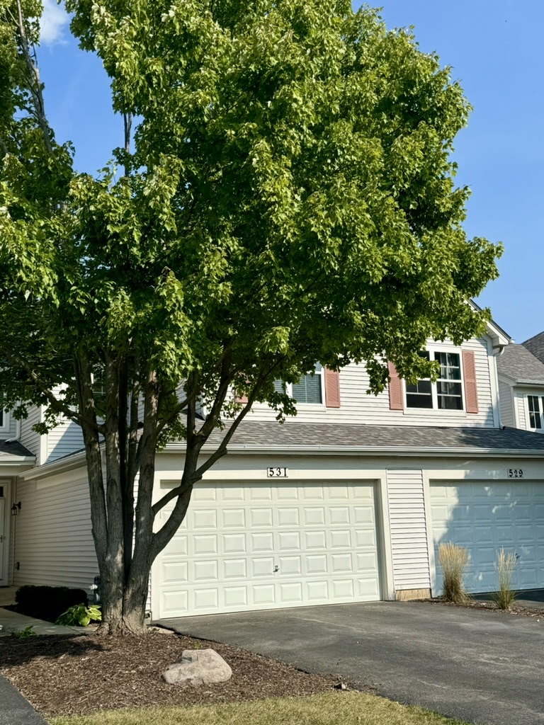 a view of a house with a tree