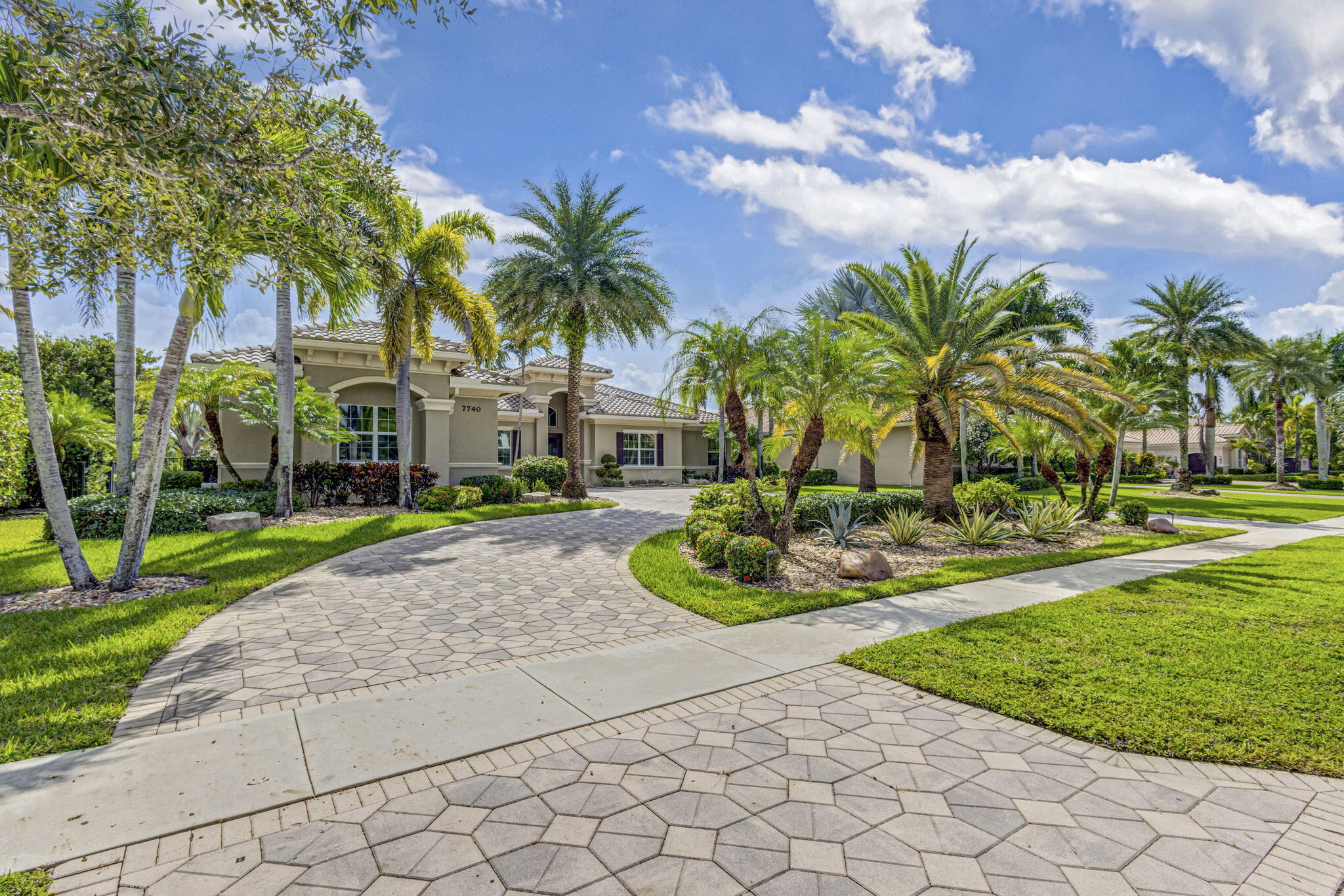 a view of a backyard with potted plants and palm trees