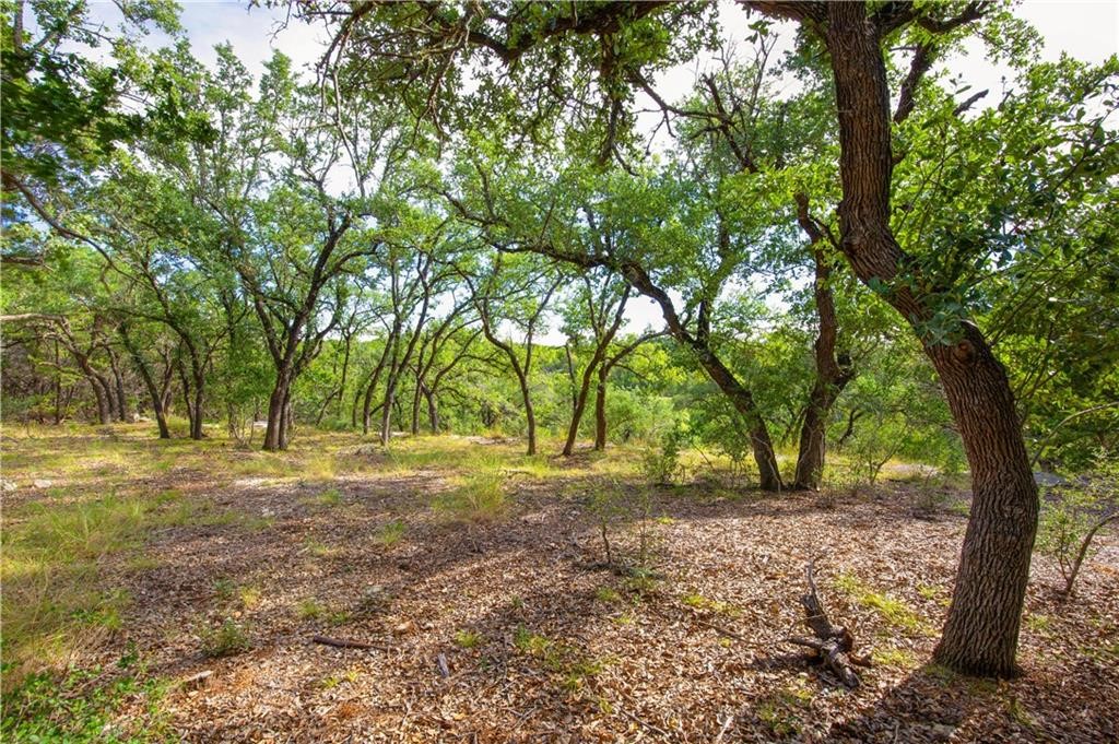 a view of dirt yard with a tree