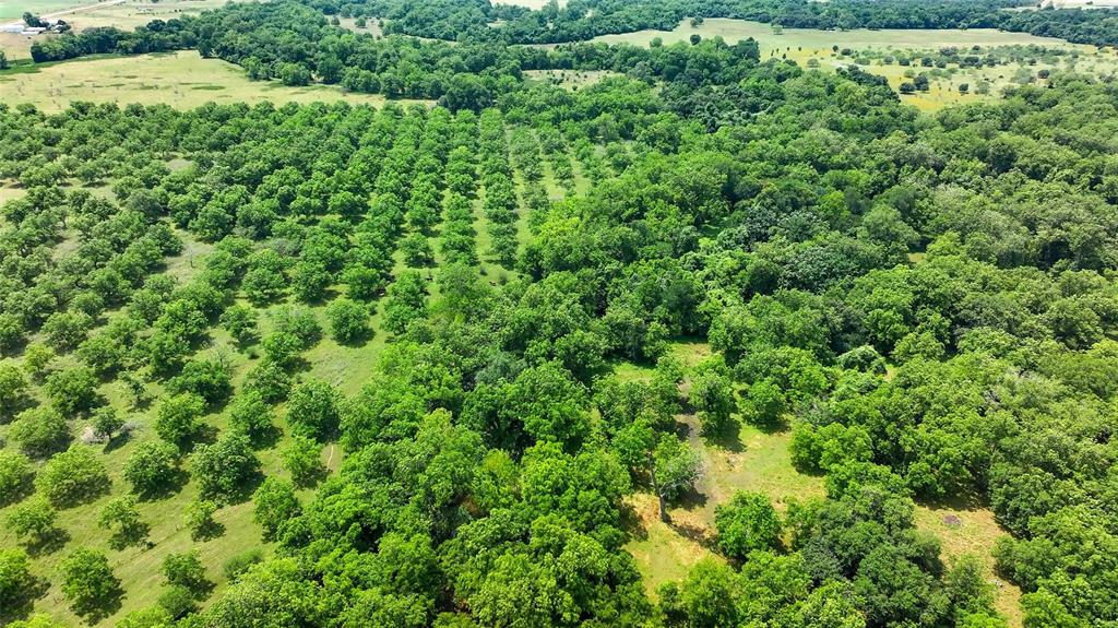 a view of a large yard with lots of green space