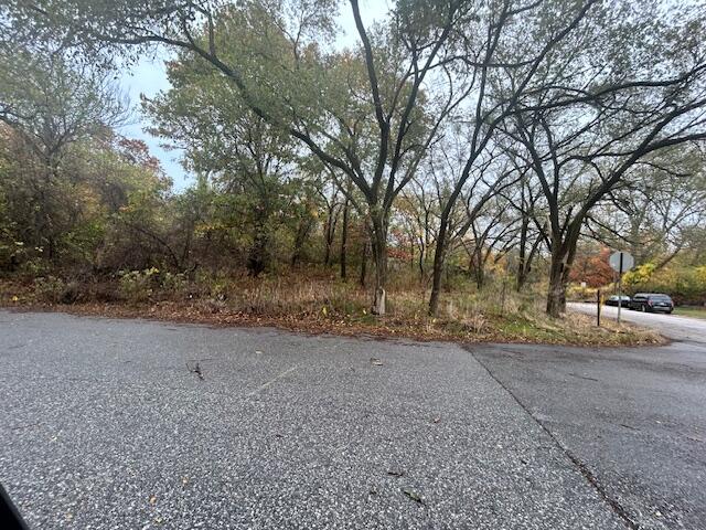 a view of dirt yard with a large tree