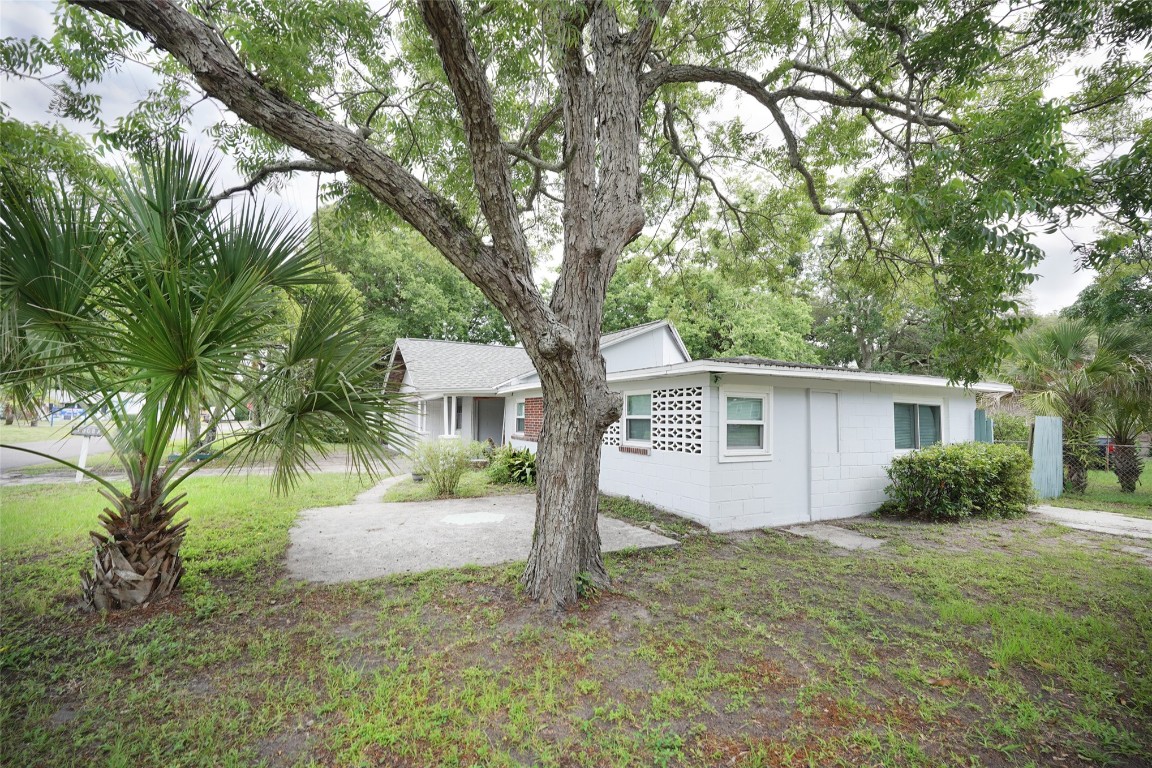 a view of a house with a tree in front of it