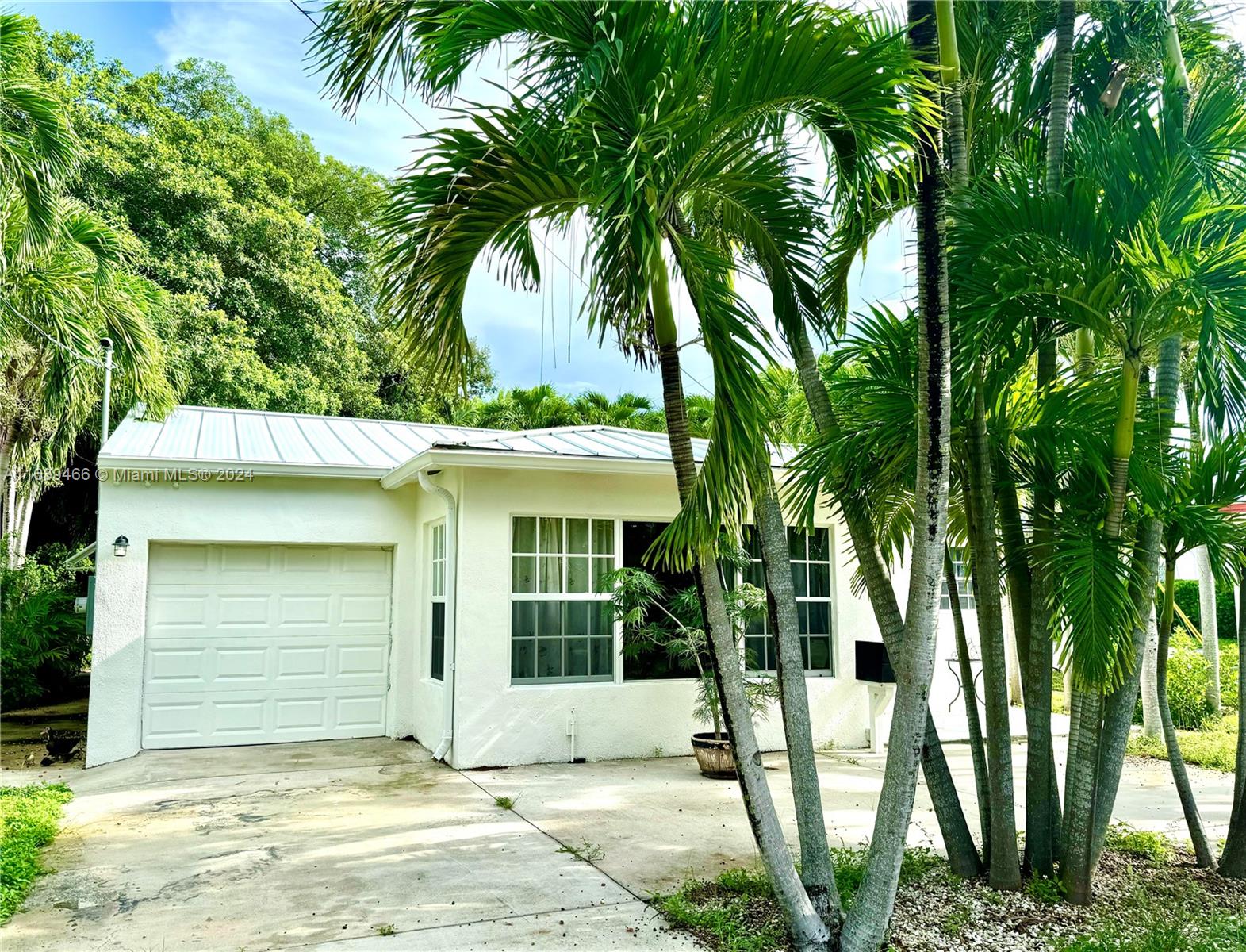 a house with a tree in front of it