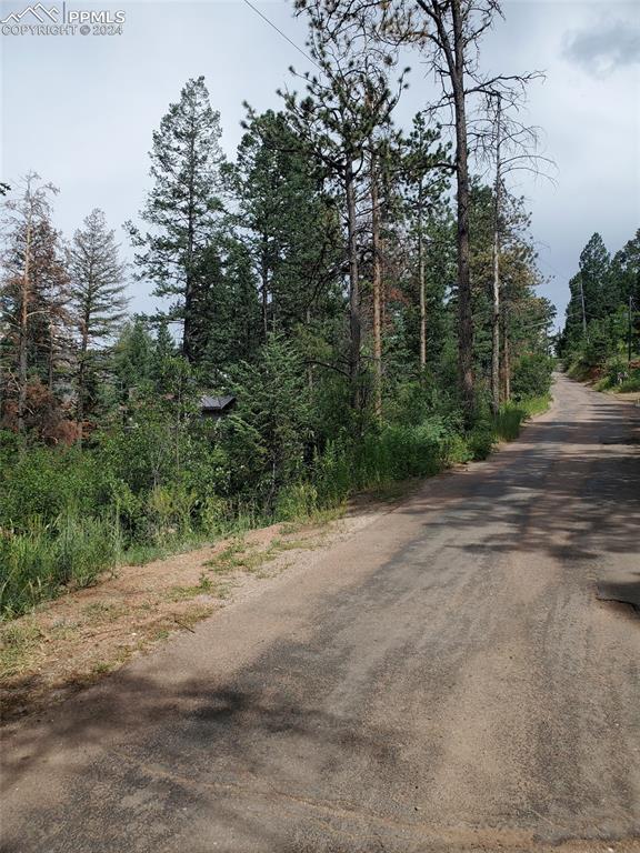 a view of a dirt road with trees in the background