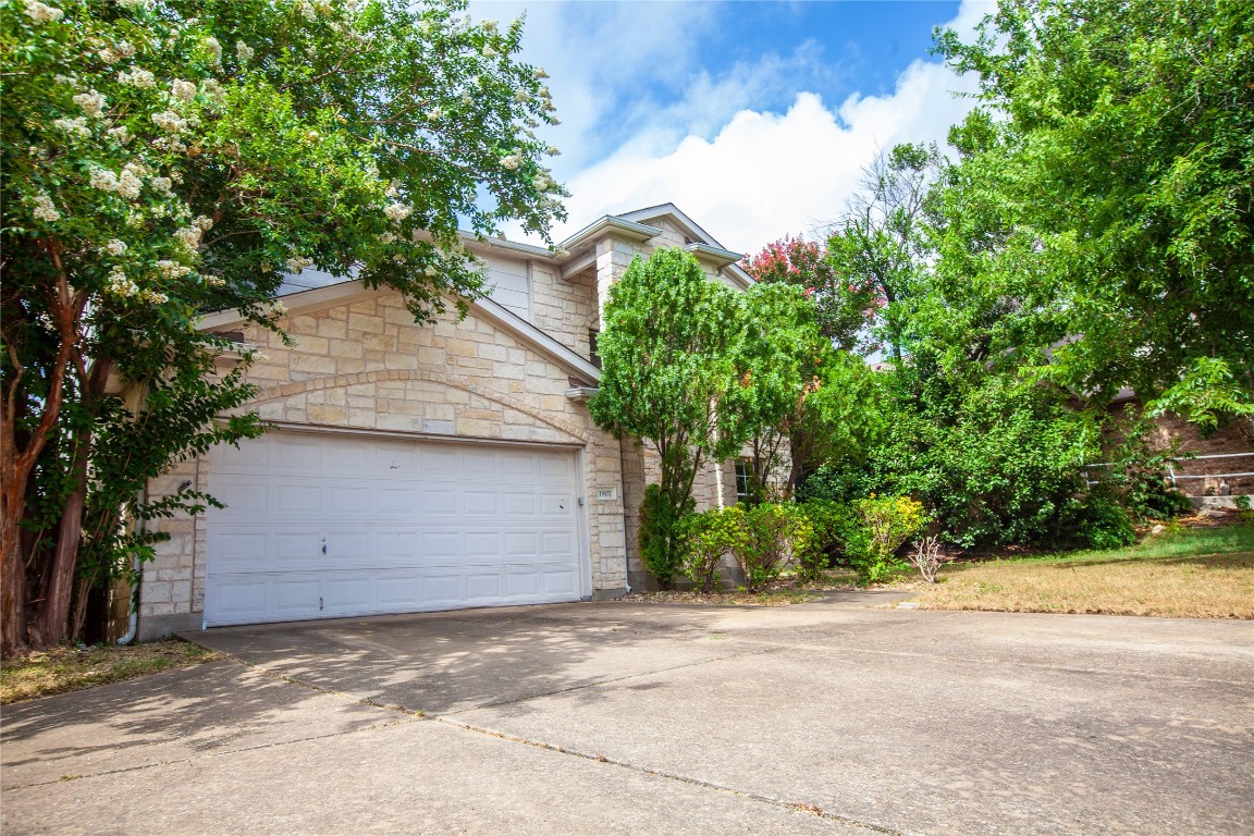 a backyard of a house with plants and trees