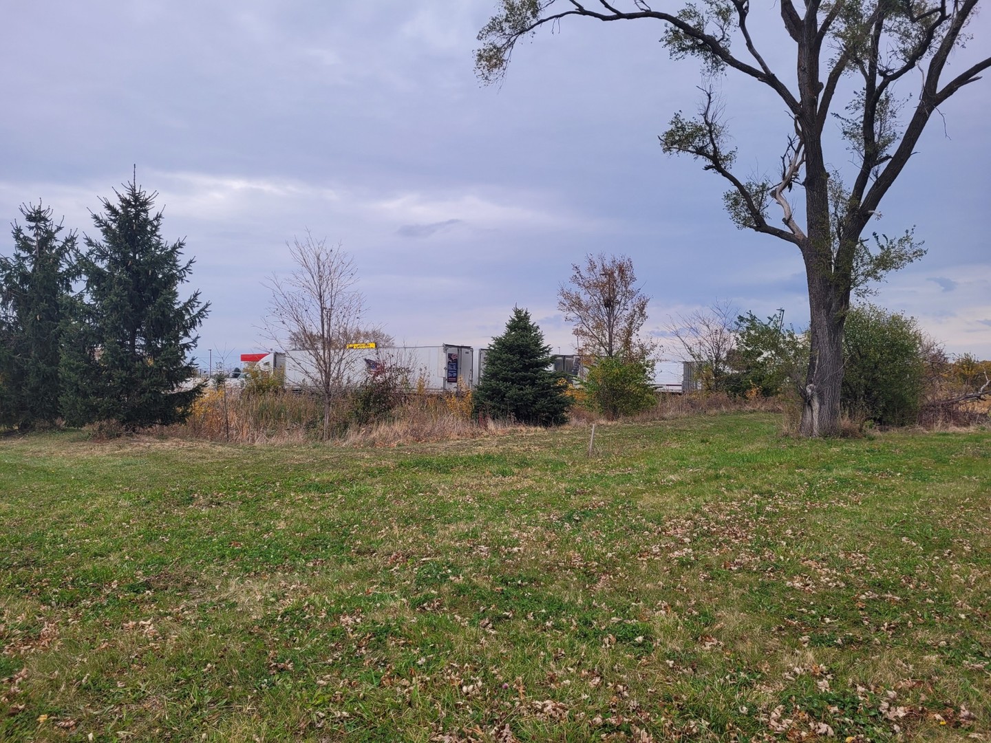 a view of a field with trees around