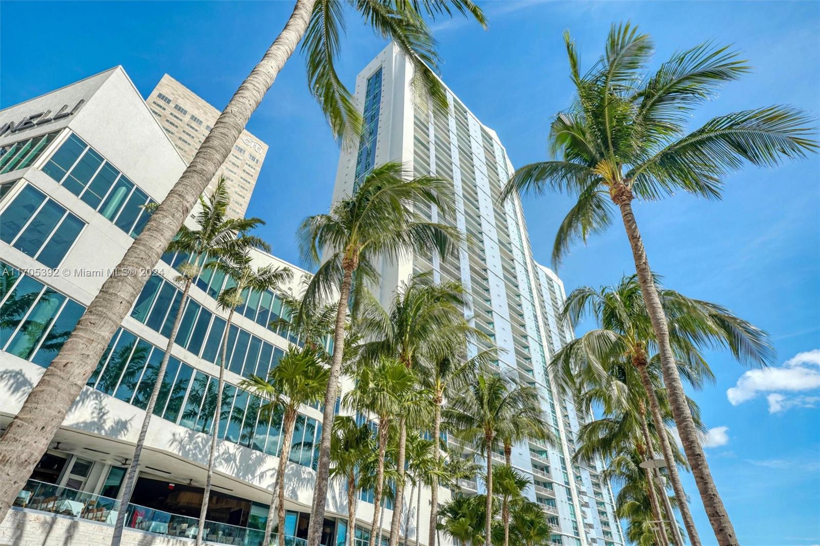 a view of a palm trees in front of building