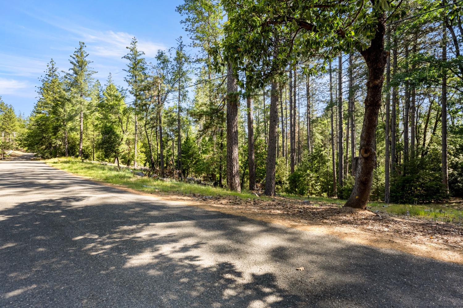 a view of outdoor space with trees